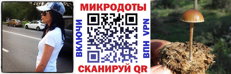 Купить  Кемь  Галлюциногенные грибы Psilocybine cubensis 